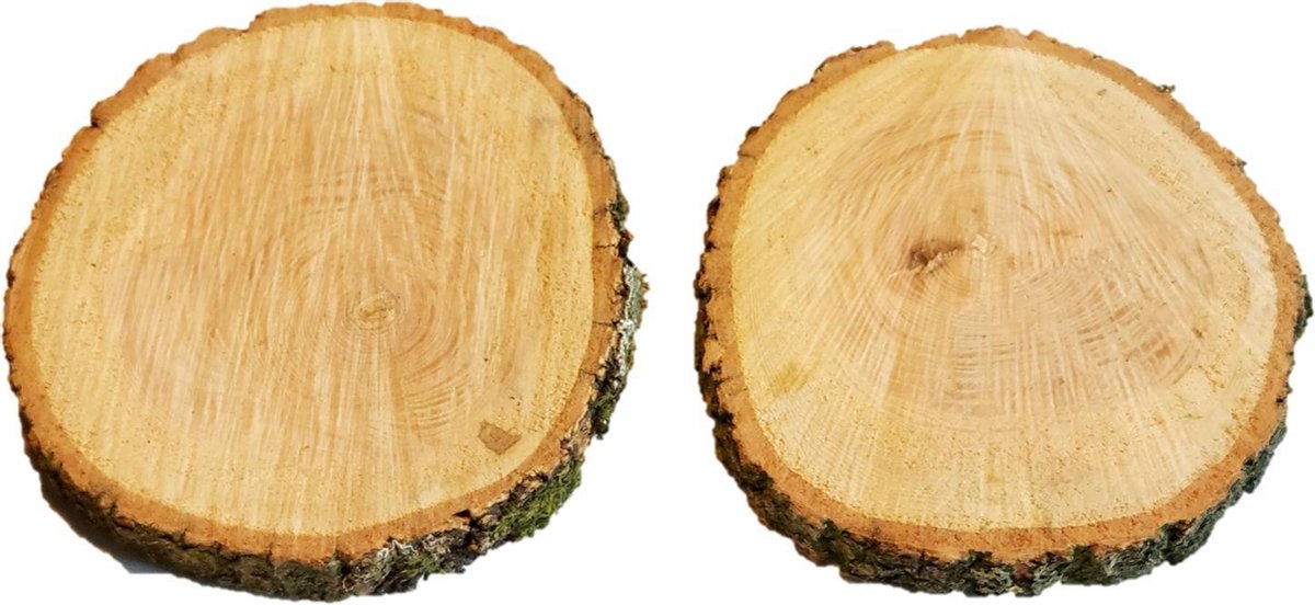 Houten schijven mix c.a 12-15 cm diameter | 15 stuks €28,95| Inclusief verzenden! | 100% Belgisch Snoeihout